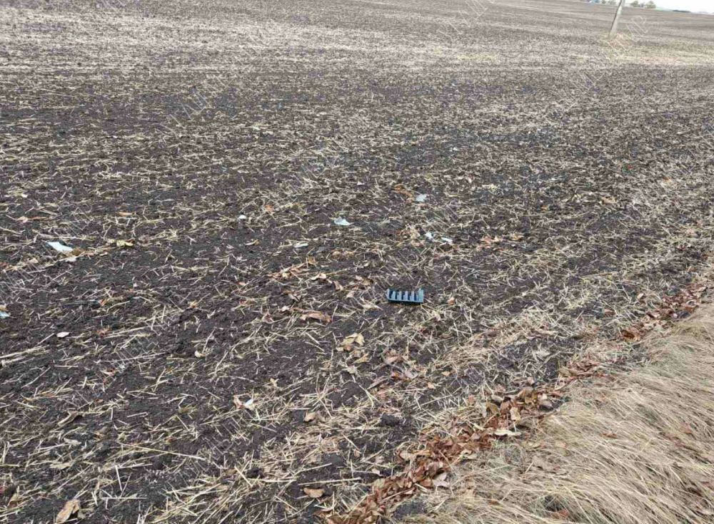 ��� � ���������������� ������