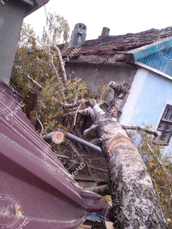 ������� ����� �� ��������� �����