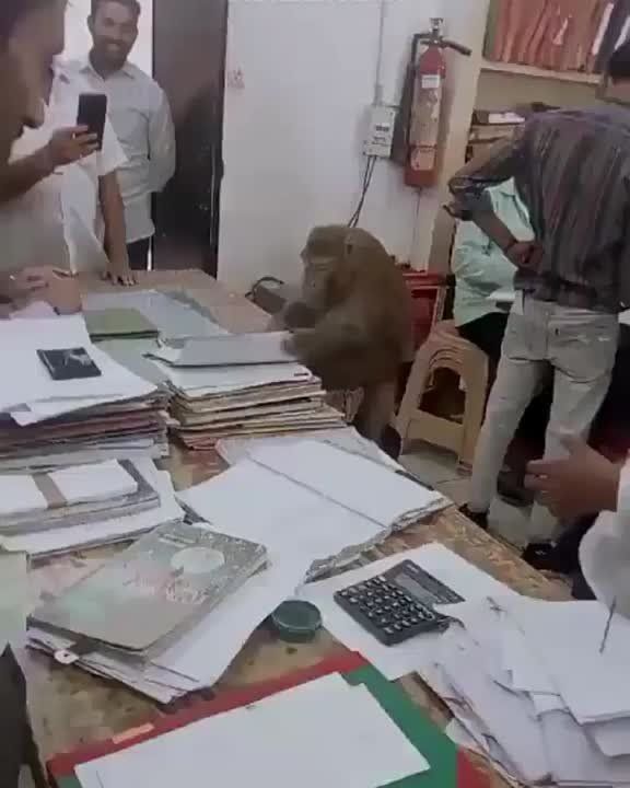 � ����� �������� ���-�� ���������� � ���� � ����� �������� � ����������� �� �������� ��������