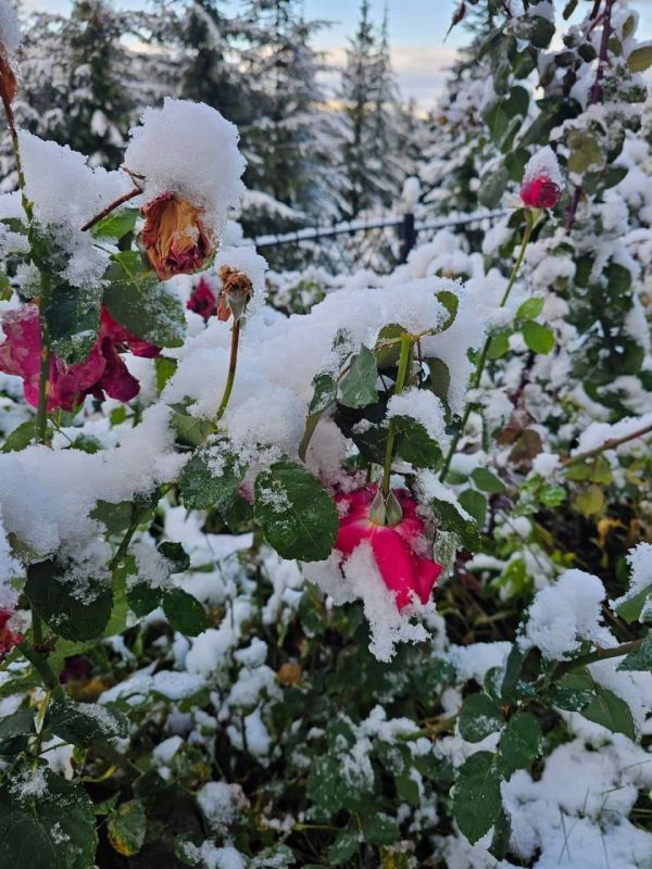 � ��������� ������, � ����� � ��������������� ��� �������� ����� ����