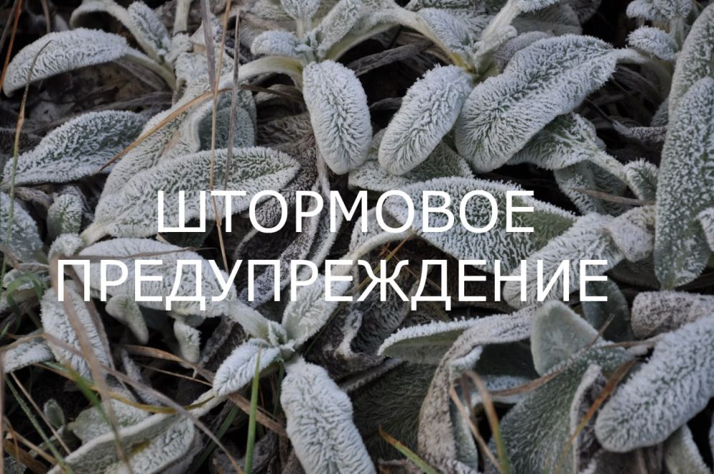 ��������� ��������������. 17 ������� � ������ � �������� ���� ��������� � ������� ������� ��������� �� -2��