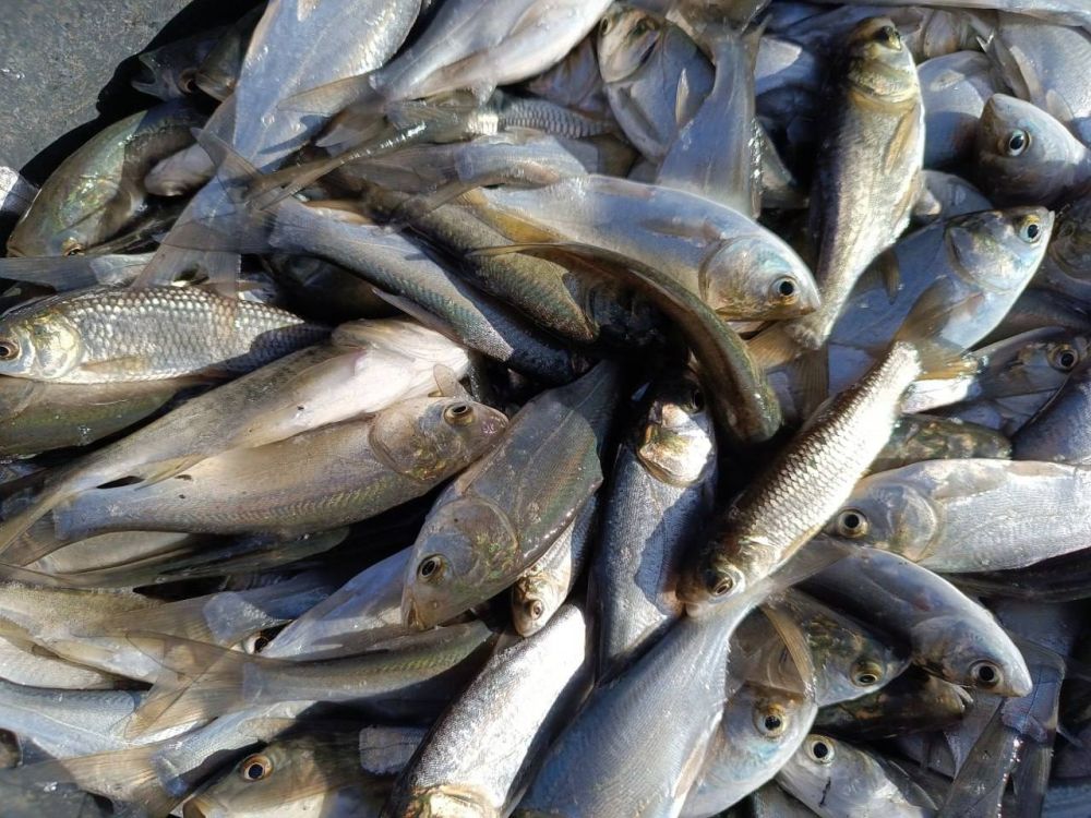 � ������� �� ��� ��� � ������ ���� �������� 3500 ���. ����� � ���� �������� ���������� � ���� ������, ������� �������� �...