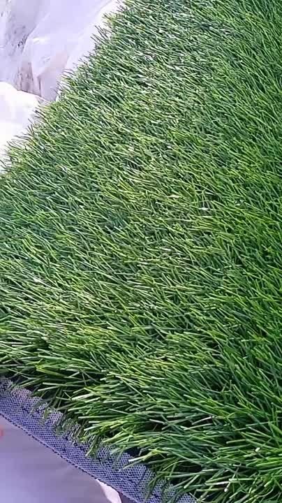 � ���� ����� ������� � ����� ����� ��� ����-���������� ����� (�� ����� ���) �� ��������� ��������