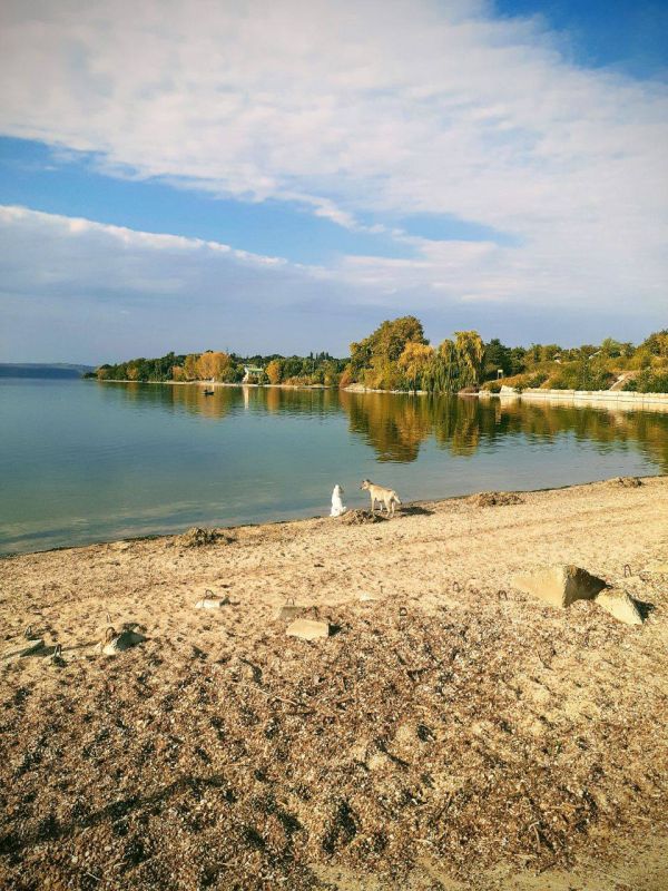 ������������ ����. �������������.. ���� ������ �������