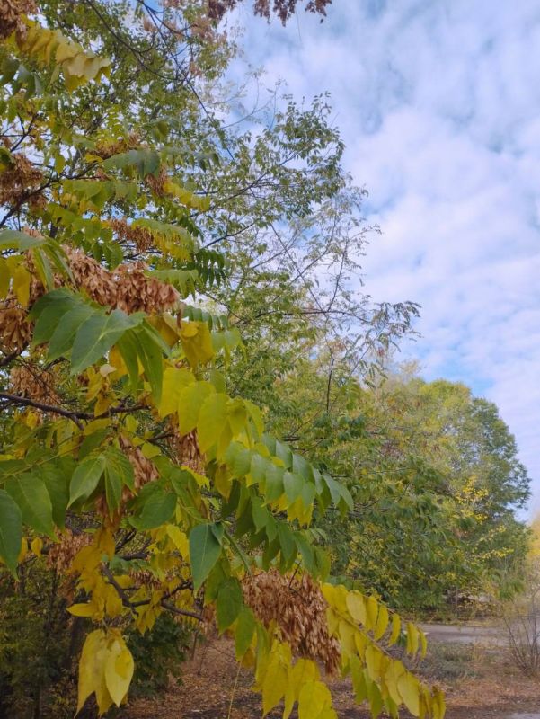 ������ �����