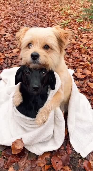 ����� ����� ������� ����������