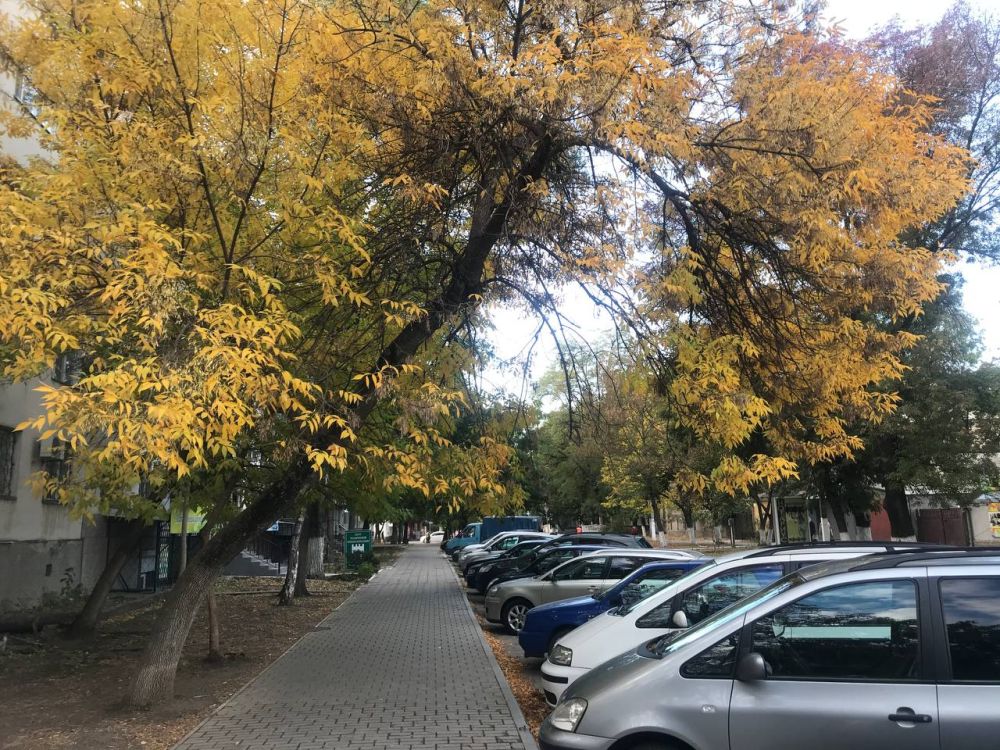 17 ������� � ���������������� ���������� ����������� ���������� ����������, � ���� �������� ���� ������ � �������, � ����� ���� ����� � ���� ��������� ��� ������