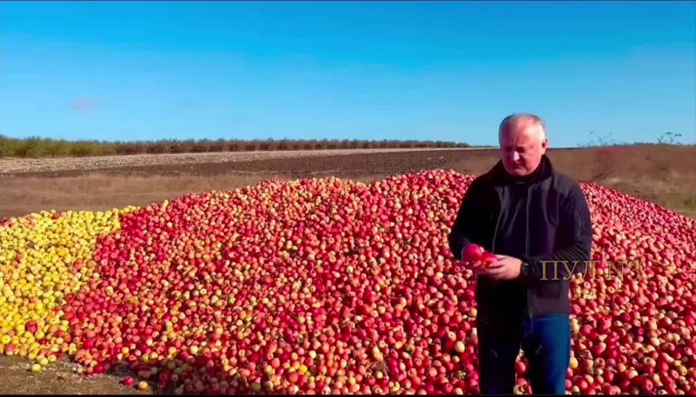 ���-��������� �������� ����� �����: ����� ����� �� ���� ������ - ��� ��������� �������� ������