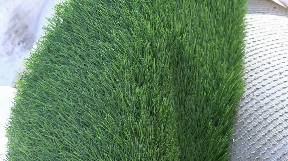 �� ��������� �������� ����� ��� ���� � ������������� ���������