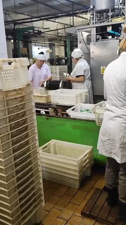 � ���� �� ��� �����. ��������� ����.