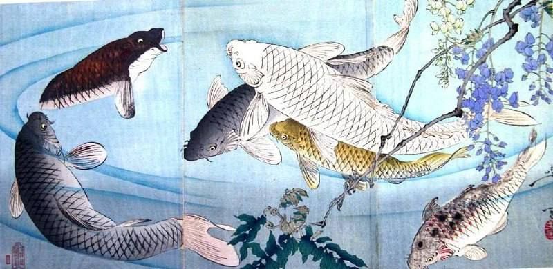 24 ����� ���� ��������� ��������� � ������� ���������� � ���� ����