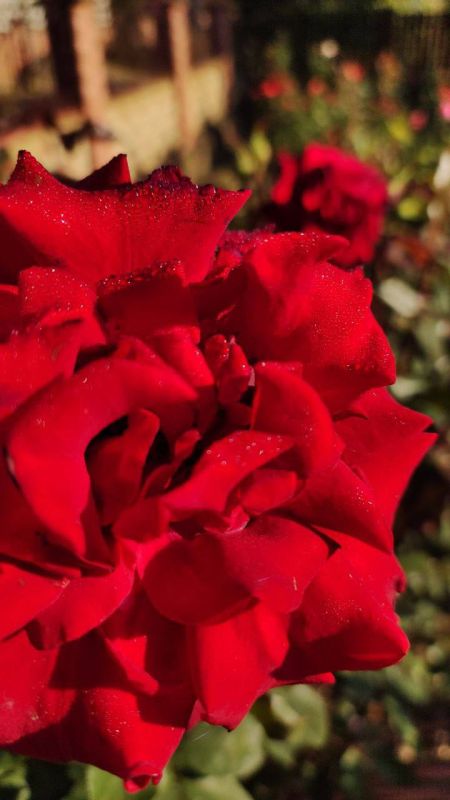 ���� �� ������� ������ � ������������ ��������� �������� ����������