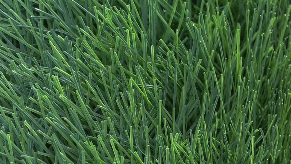 ����-���������� ���� �� ������������� �������� ����� � ������������� �������, �������� ������� ���������������