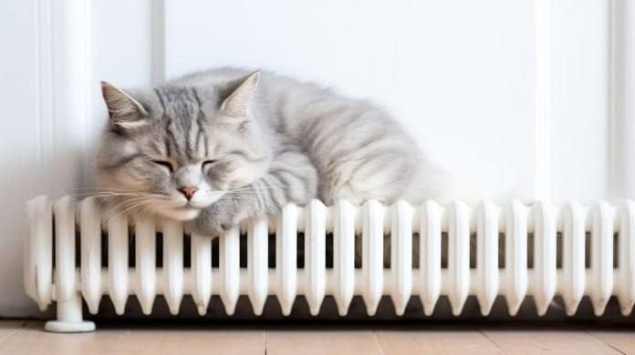 � ������������� ������ ������