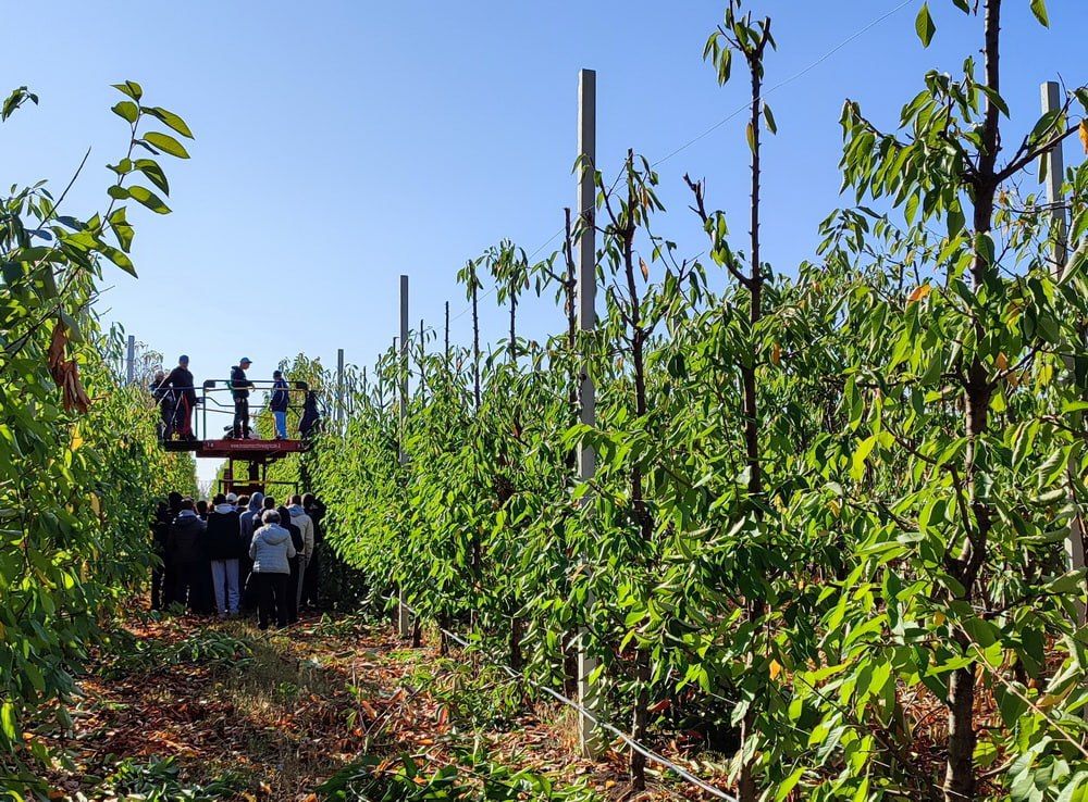 �������� ��� ��� ���������� � ��������������������