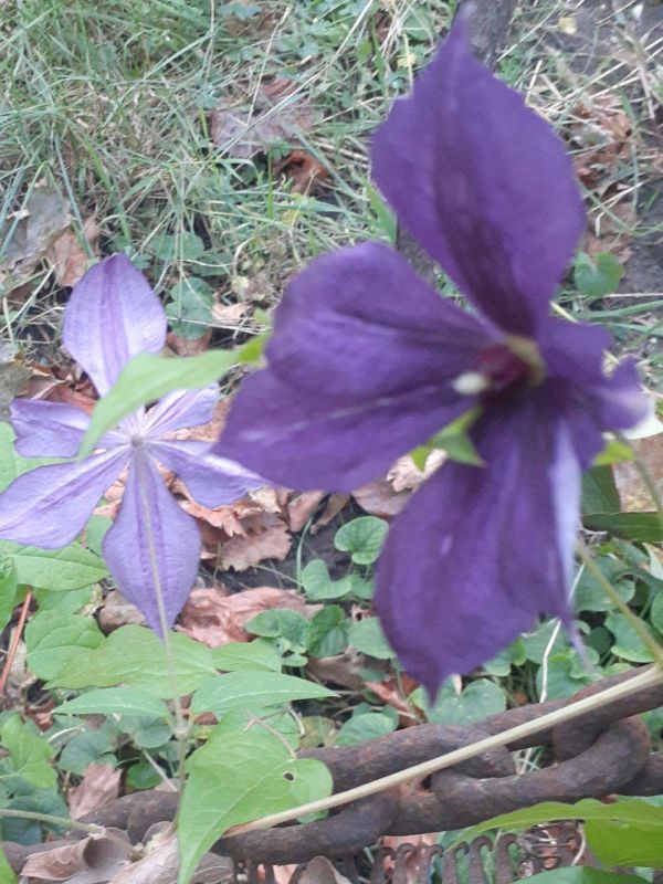 ������� - ���������!. � ���� � ���� ������ ��������