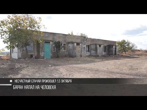 ������ ������� ��� ��, ��� ����� �������� ������� 85-������� ����������. � ������ � �������� � �������� ��������� � ������ � ���, ��� ������� ������ �������, ������� �� ����� ������, ������� �� �����.