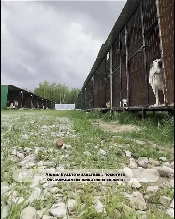 ����� ������� ����� � ������