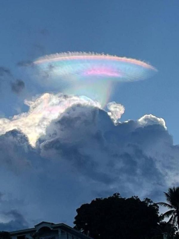 � ���� ��� ������-���� �������� ��������� ������