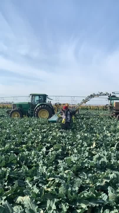 ��������-������� � ���������