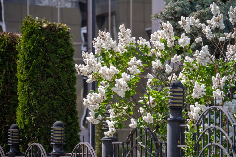 � �� ������ ���������. � ������ ����� 10 000 ��������, ������� �� ��������