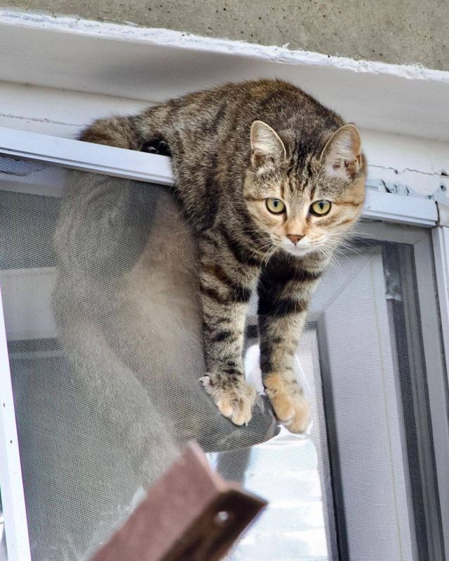 ���� �� ����!. ���� ������ ����������