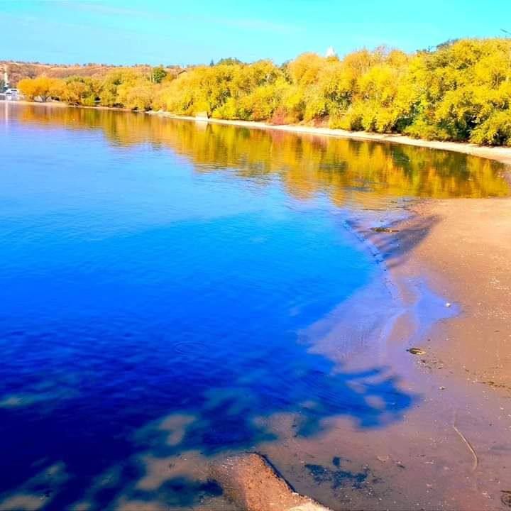 ������������ �������������