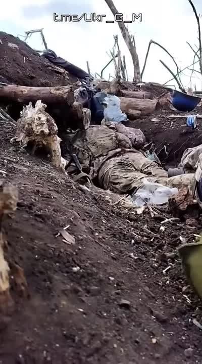 ���������������� ��� ��� �� �����