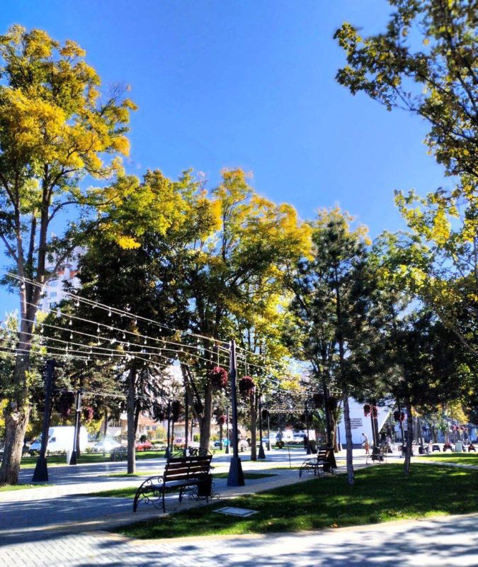 ����� � ������ ���������