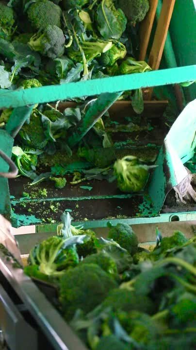 ��������������� �������� ��� �� ��������� �� ������ ��������� �������� �������