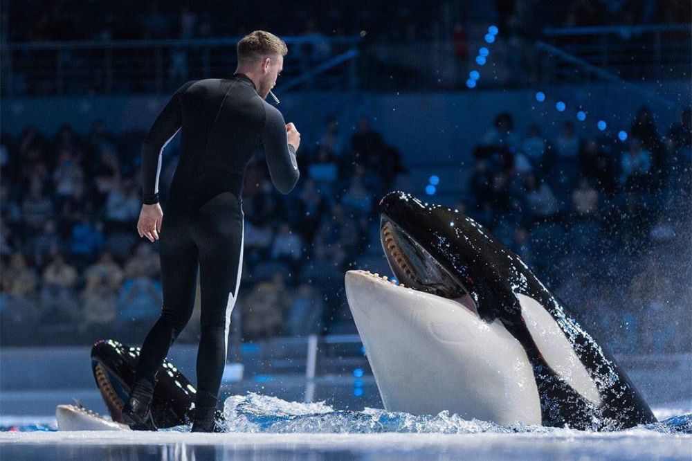 � ������ � ������������ ������� � ������������� �������� ������������ ������� �� ������ ���