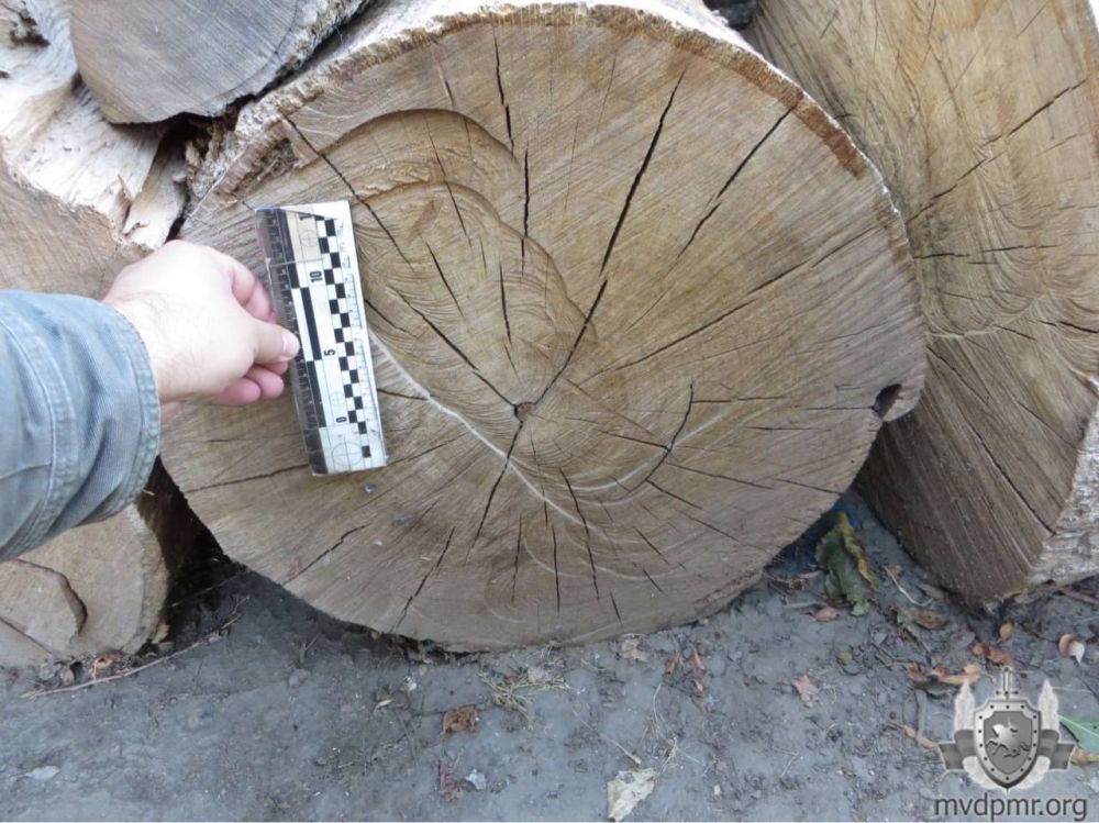 ������ � ������� �������� ������ �����