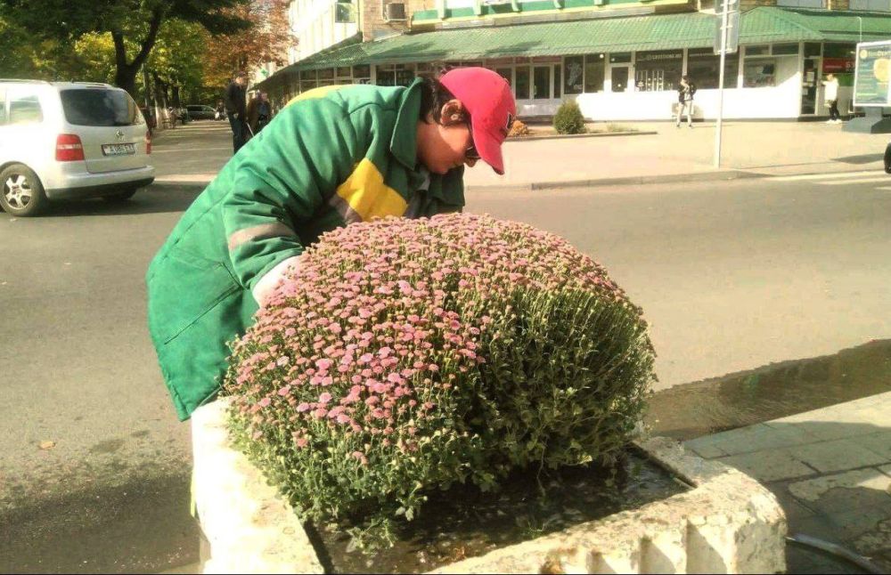 �� ����������� ������� ������ ������ ���� �� ����������, �������� ����������������