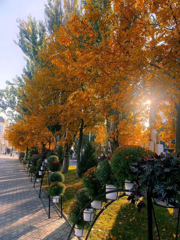 �������� ������� ��������