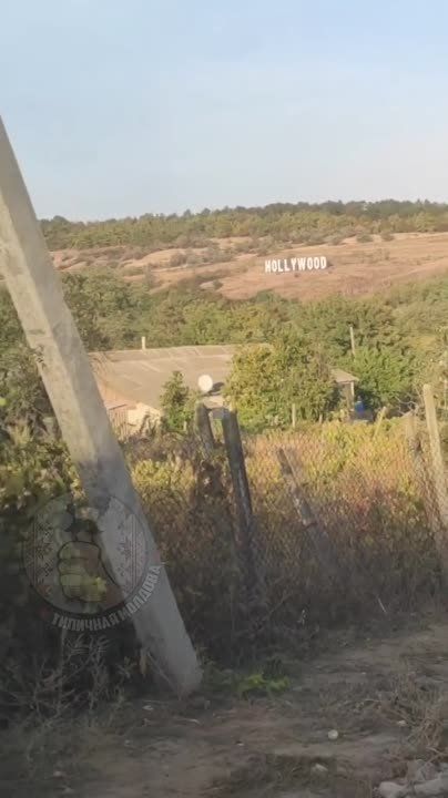 Hollywood �������� � �������.