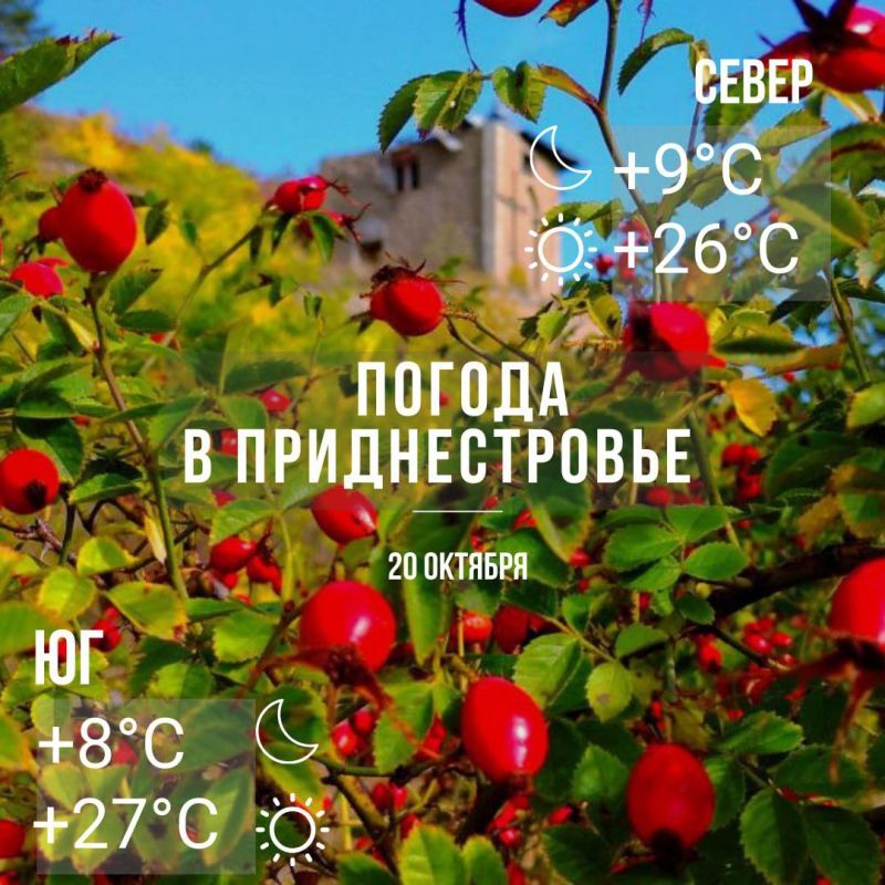 ���� ��������� �� ���� ����