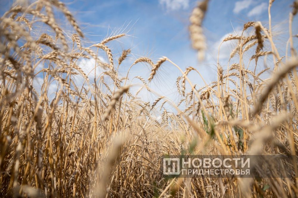 � ���� ���� ������� ������ ������� � ���������