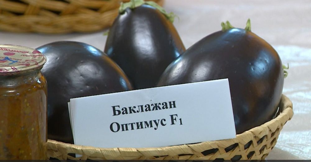 "�������" - ��� ����� ������, ���� ���������� ���������������� ��������������