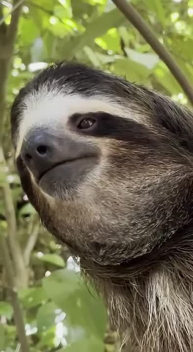 ������� ���������� ������������� ���� �������