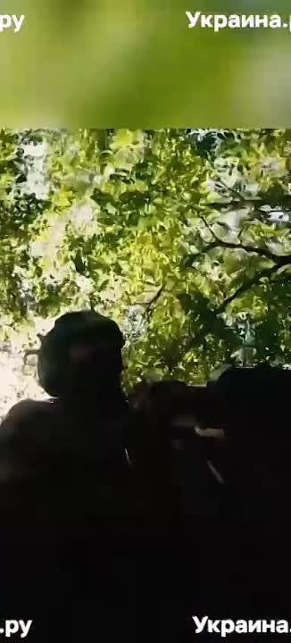 ����� ������������ ��� �������������� ������ ����� ������ ������ - telegram-����� ��������.��