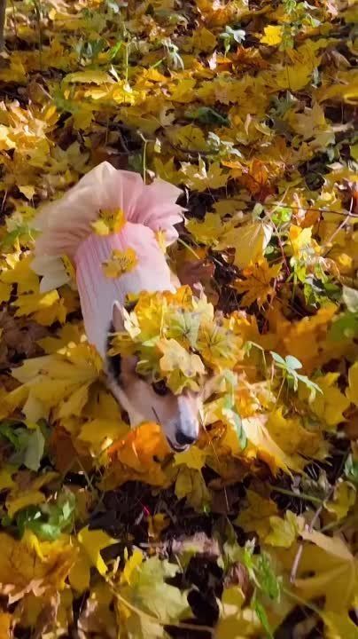 � ����� � ��� �����?