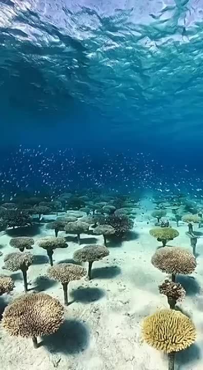 ���������� ������ �� ��� � ������� ������� - ���� ��� �������