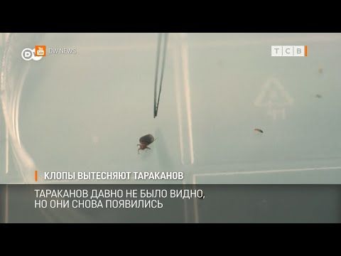 ����� �������� ��������� � �������� �����������. �� ��� ������ ������ ������� � ������������, ���������-�������� ����� �� ���� �����. � ��� ��� ����� ���������. �������� �� ��������� ����������������� � ��������������� ������ ���������������� �����������