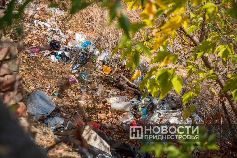 ������ � ����� ������ ���������