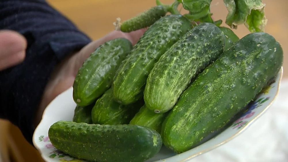 ������������ ���������������� ��� ������ ����� ������ ������������ ������