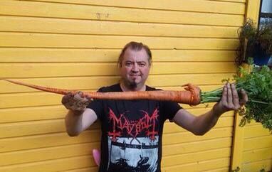 ����������� �������� ����� ������� �������