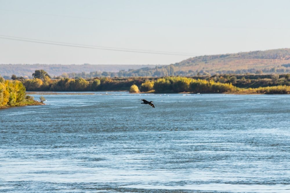 � �������� ����� ��-������� �����