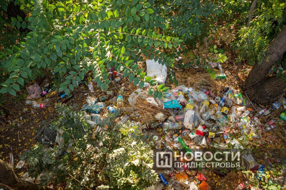 �� ���� � ���� ����� ����� ������ � ������ ���������