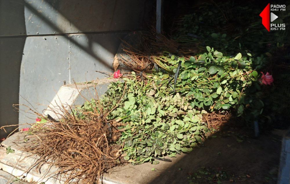 ������������ ����� � ������� ���� ������� 1200 ������ ���