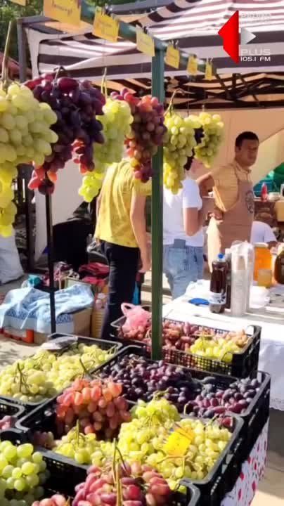 � ���� ���� ���� ��������� ������������ 20 ������������